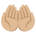 :palms_up_together:t3: :palms_up_together:t3: