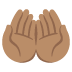 :palms_up_together:t4:
