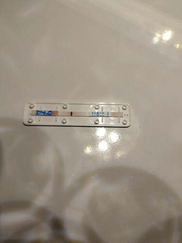 IMG_20240406_014654