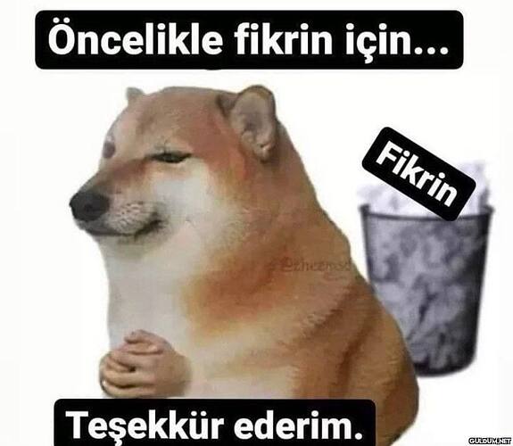 7fcb8bdbe84bd7d8aeb9f123838c1102dafb505b-1721697234