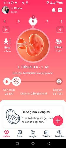 Screenshot_20231206-114108