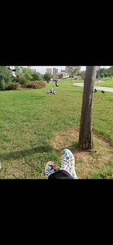 Screenshot_2024-01-31-16-25-14-112_com.miui.gallery