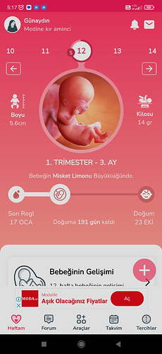Screenshot_2024-04-15-05-17-44-666_com.fureb.anne_mucize