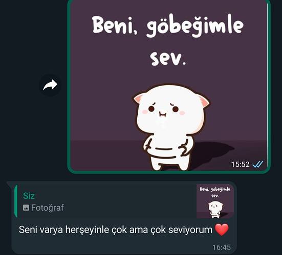 IMG_20230920_164808