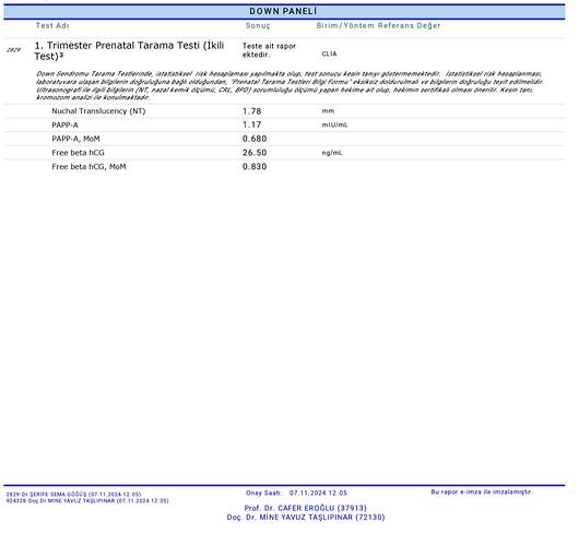 Screenshot_20241108_200413_Drive