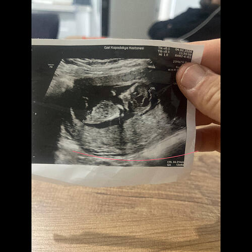 cropped_image_1770223399324