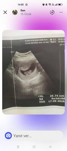 Screenshot_2026-02-05-14-03-07-30_1c337646f29875672b5a61192b9010f9