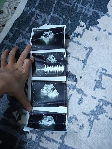 IMG_20251211_153306_192