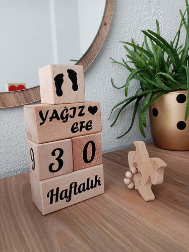 IMG_20240826_151144_006