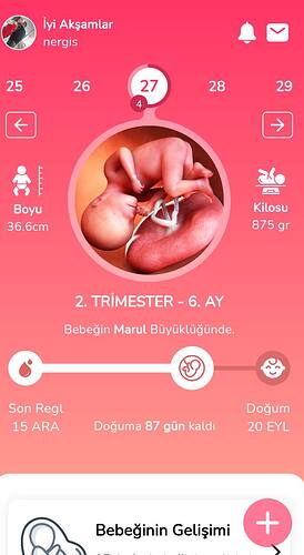 Screenshot_20240625212319