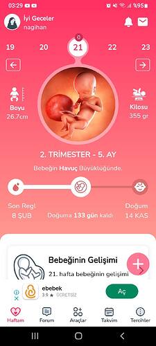 Screenshot_20240704-032958