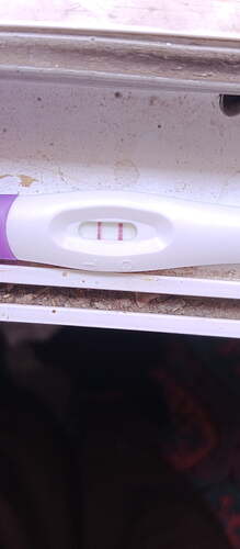 17535199567781018303142255273312