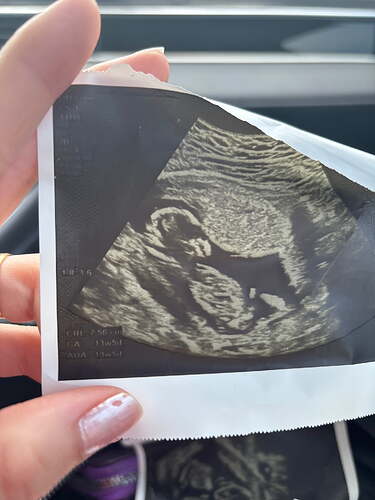 IMG_4C675D89-7928-4F71-9F7C-6FF1050460B5