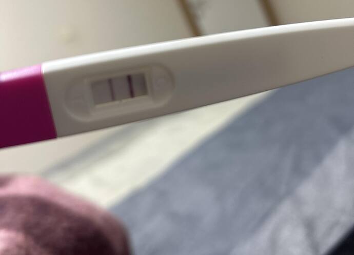 IMG_49C00F7D-8A2A-42A4-901D-513F617DEB6E