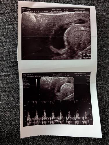 PXL_20260128_120458114