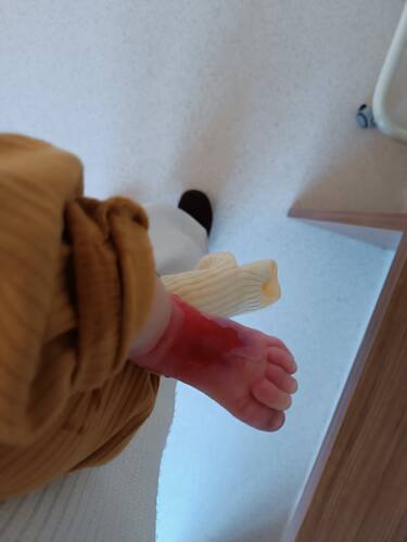 IMG-20241229-WA0012