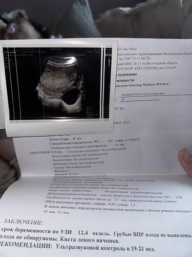 image_picker_150E1F47-B558-4970-A785-9DB66D804328-62492-0000329B9ACCFFFF.jpg