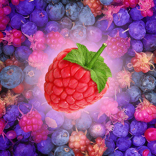 art raspberry GIF