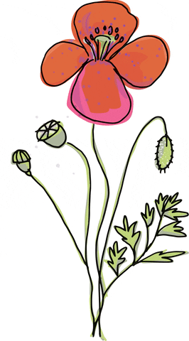 Summergüçlü metin Flower GIF by krima&isa